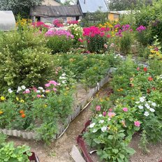 дом + 6 соток, участок - изображение 4