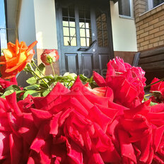 дом + 7,4 сотки, участок - изображение 1