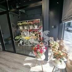 30,3 м², помещение свободного назначения - изображение 2