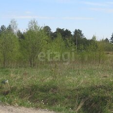 6 соток, участок - изображение 4