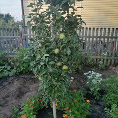 дом + 5 соток, участок - изображение 1