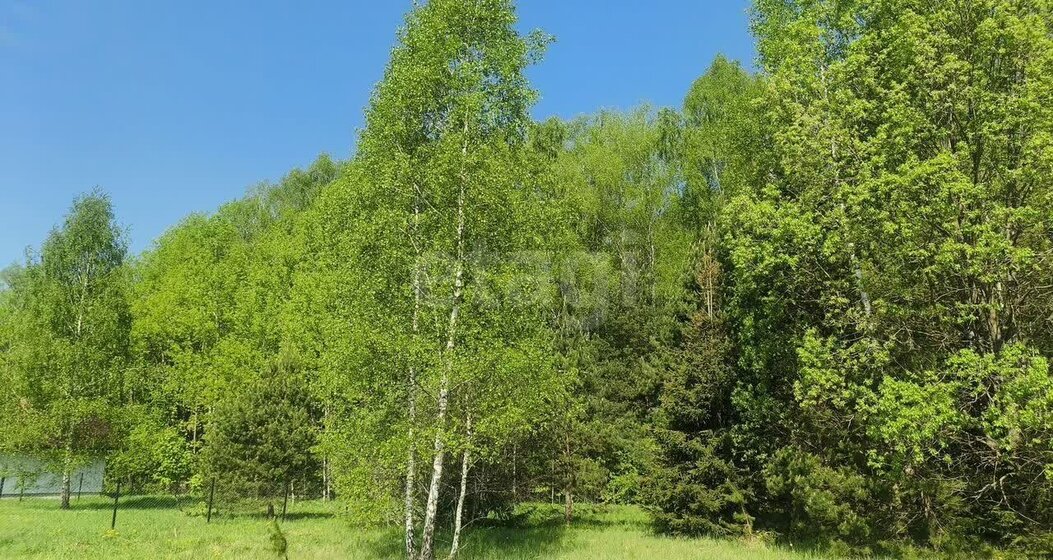 16,2 сотки, участок 1 132 600 ₽ - изображение 29