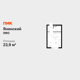 Квартира 23,9 м², студия - изображение 1