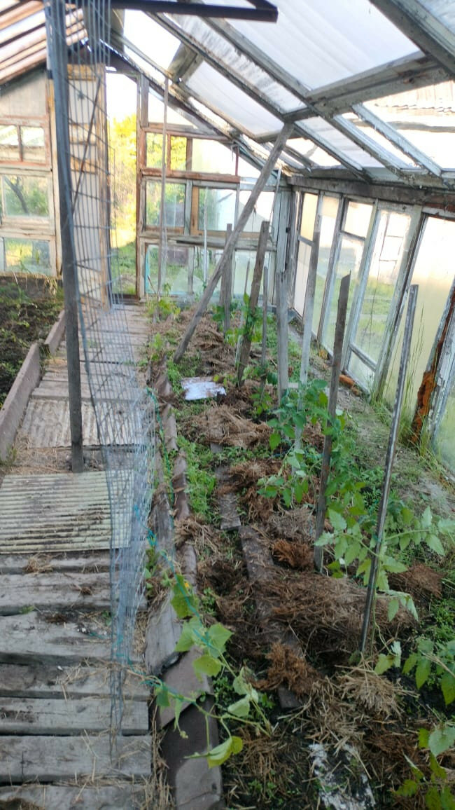 Дом 1-комн. 30 м² в СНТ Таёжное — фото 5