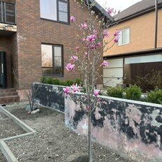 таунхаус + 7,3 сотки, участок - изображение 5