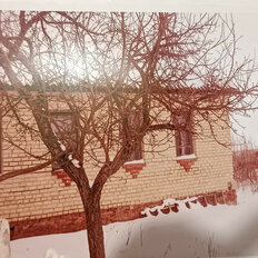 дом + 400 га, участок - изображение 1