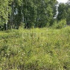 15 соток, участок - изображение 2