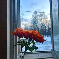 Квартира 46,4 м², 1-комнатная - изображение 1