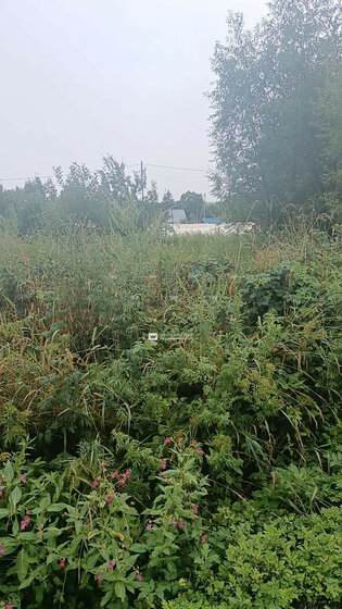 10 соток, участок 900 000 ₽ - изображение 36