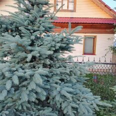 дом + 6 соток, участок - изображение 1