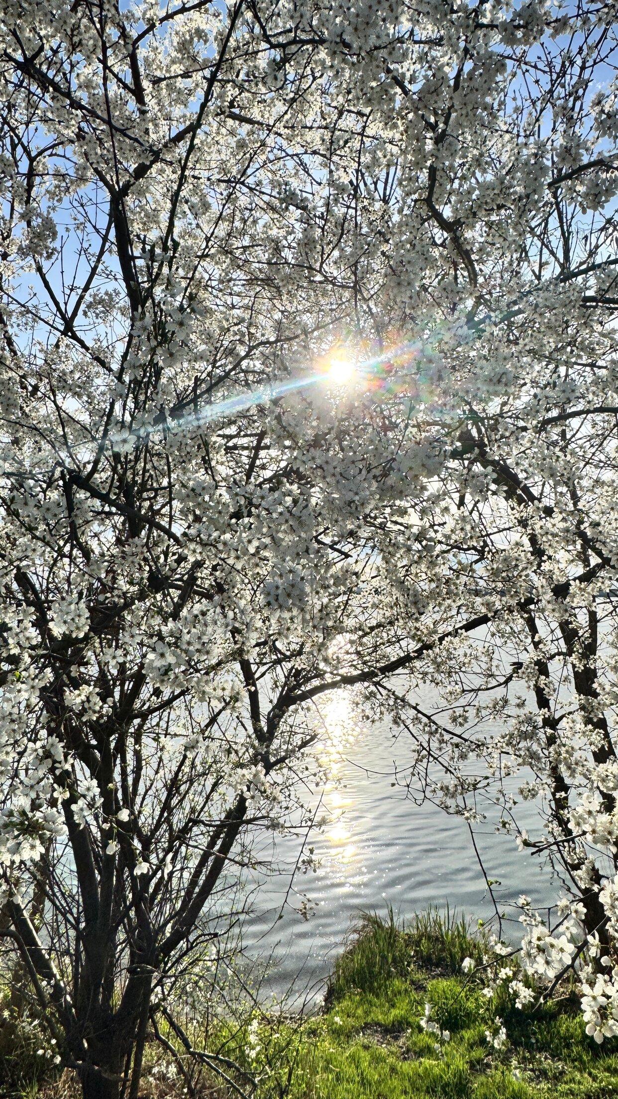 Дом 13 м² в посёлок Солнечнодольск — фото 2