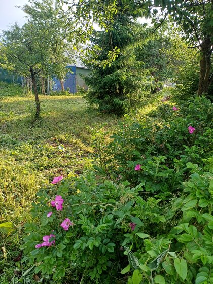 159,3 м², 3-комнатная квартира 23 890 000 ₽ - изображение 16