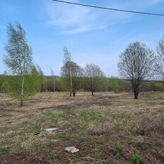 20 соток, участок - изображение 4