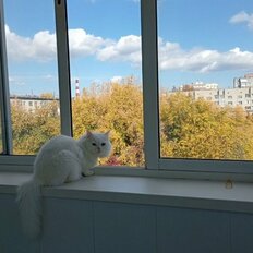 Квартира 44 м², 2-комнатная - изображение 1