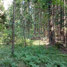 6 соток, участок - изображение 1