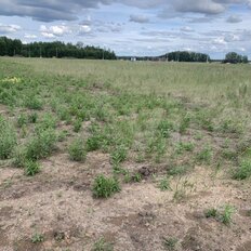 10 соток, участок - изображение 2