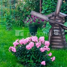 дом + 6 соток, участок - изображение 3