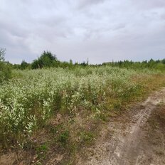 10 соток, участок - изображение 5