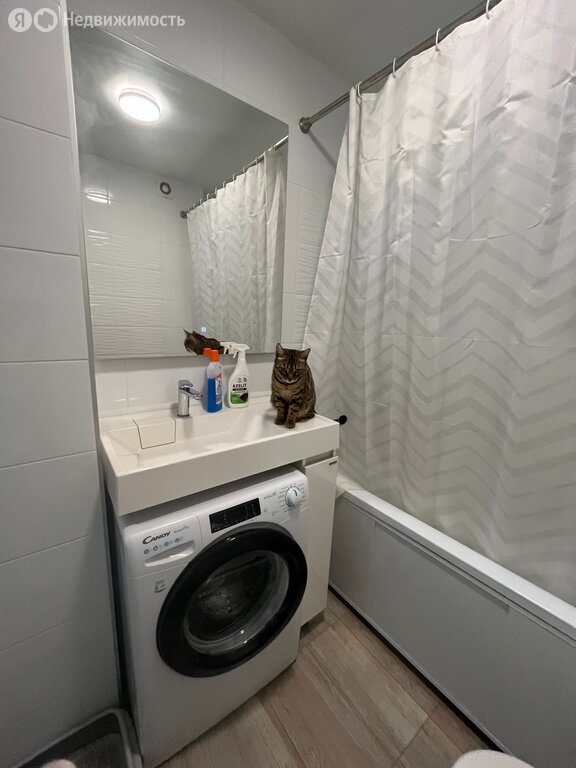 Квартира-студия: Тюмень, улица Виктора Тимофеева, 9 (24.8 м²)