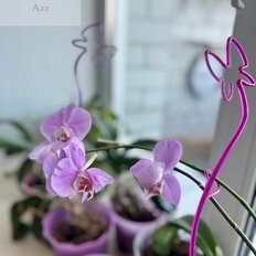 Квартира 63,5 м², 2-комнатная - изображение 2