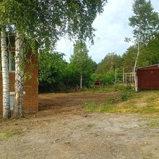 204,5 м², помещение свободного назначения - изображение 3