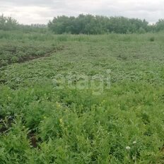 12,4 сотки, участок - изображение 3