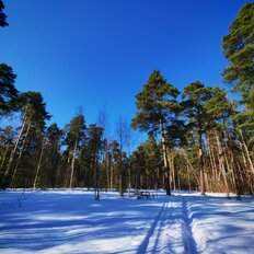 Квартира 41 м², 2-комнатная - изображение 1