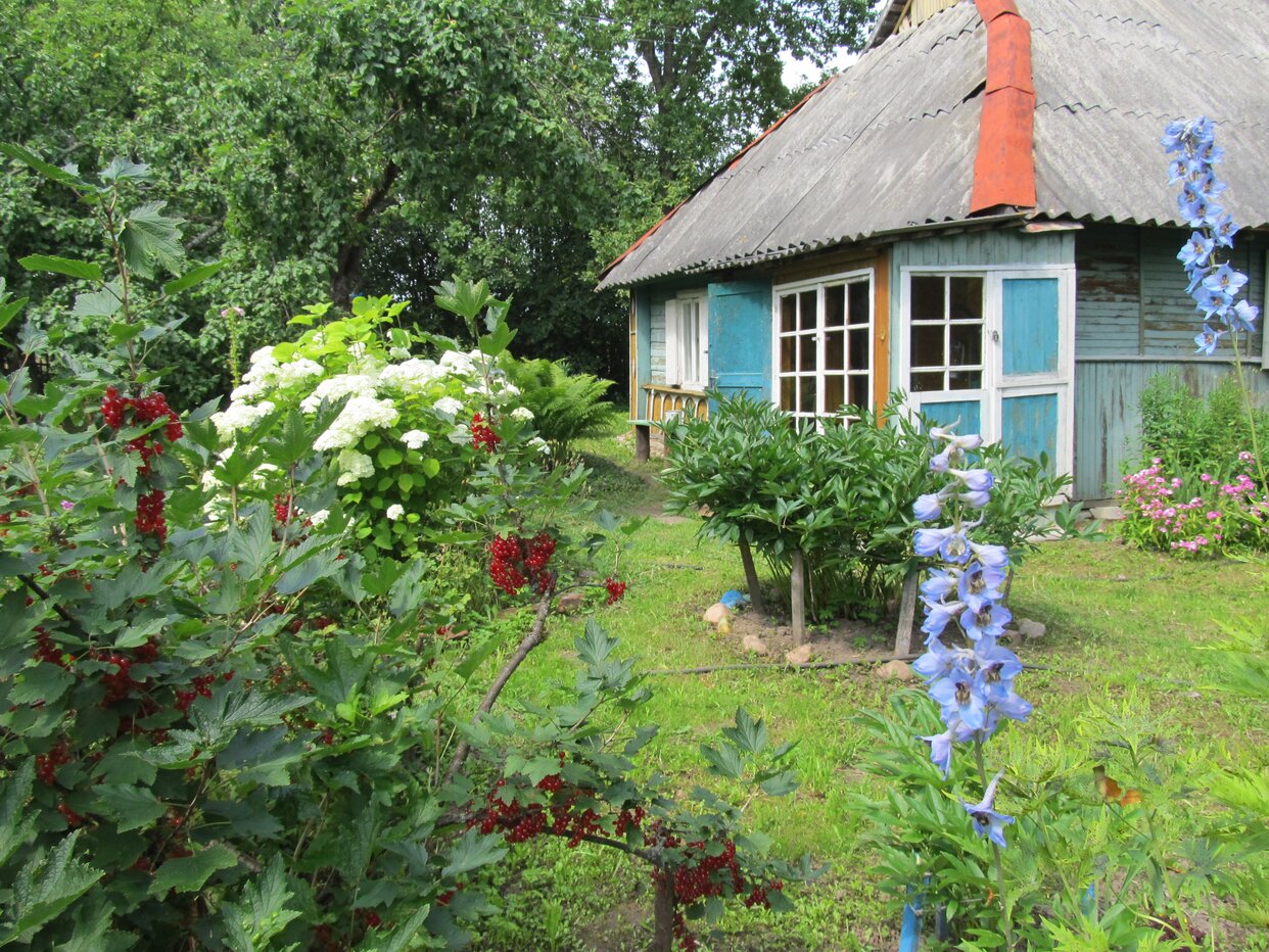 Дом 50 м² в Псковская область — фото 9 из 12