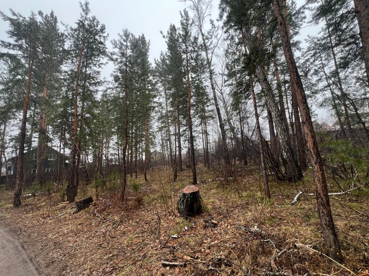 8,2 сотки, участок 3 000 000 ₽ - изображение 30