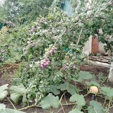 дом + 6 соток, участок - изображение 1