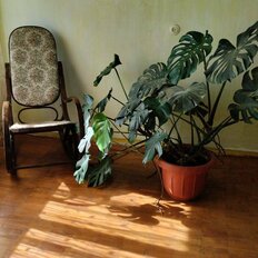 Квартира 48 м², 2-комнатная - изображение 1