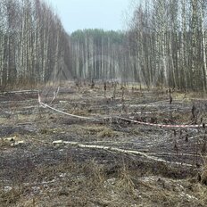 12 соток, участок - изображение 2