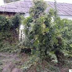 дом + 6,5 сотки, участок - изображение 4