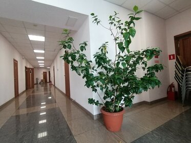 Коммерция, Площадь Ленина, Новосибирск