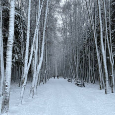 Квартира 32 м², 1-комнатная - изображение 1