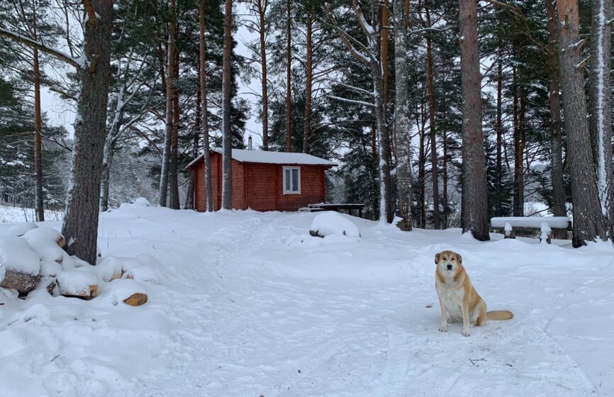 176 м² дом 16 000 ₽ в сутки - изображение 63