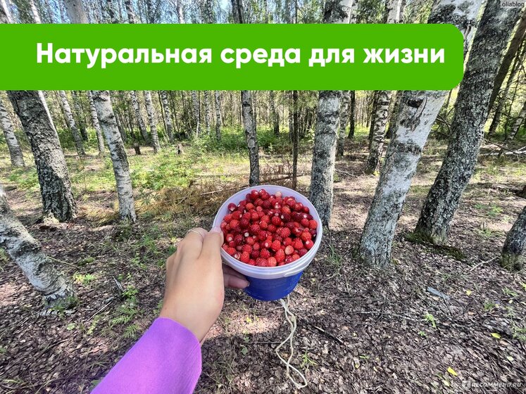 5,6 сотки, участок 9 240 000 ₽ - изображение 50