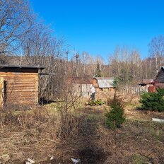 6 соток, участок - изображение 4