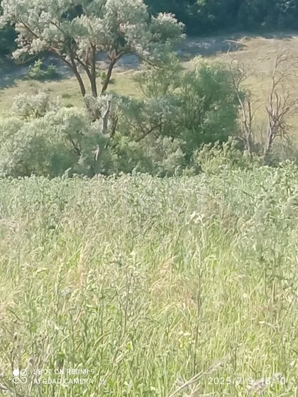 37,1 м², 1-комнатная квартира 7 373 589 ₽ - изображение 23