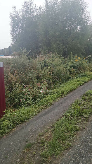 10 соток, участок 900 000 ₽ - изображение 35