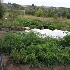 10,7 сотки, участок - изображение 2