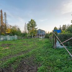 4 сотки, участок - изображение 3