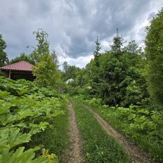 12 соток, участок - изображение 3