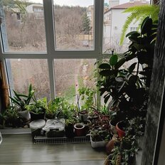 Квартира 44 м², 1-комнатная - изображение 4