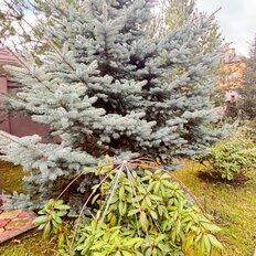 дом + 6 соток, участок - изображение 1