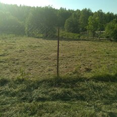 6 соток, участок - изображение 4