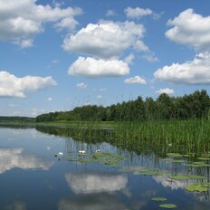 26 соток, участок - изображение 1