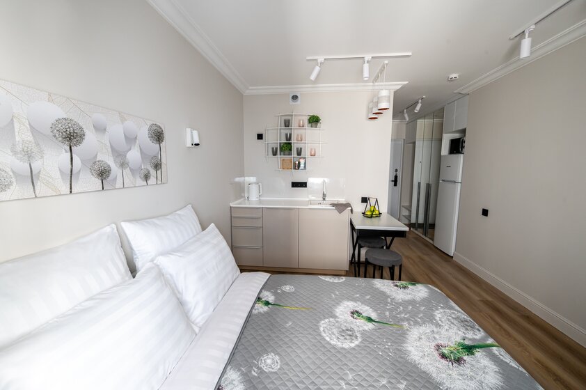 25 м², 1-комнатная квартира 3 999 ₽ в сутки - изображение 84