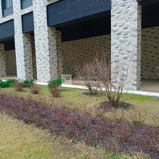 Квартира 64,7 м², 2-комнатная - изображение 2