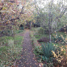 6 соток, участок - изображение 1